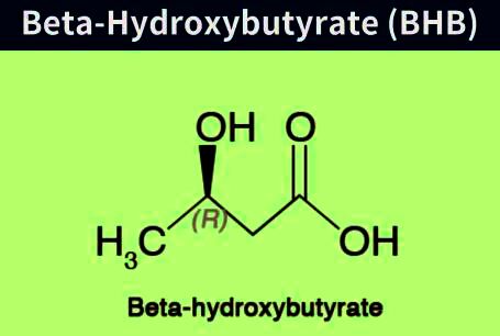 Beta-hydroxybutyrate (BHB)
